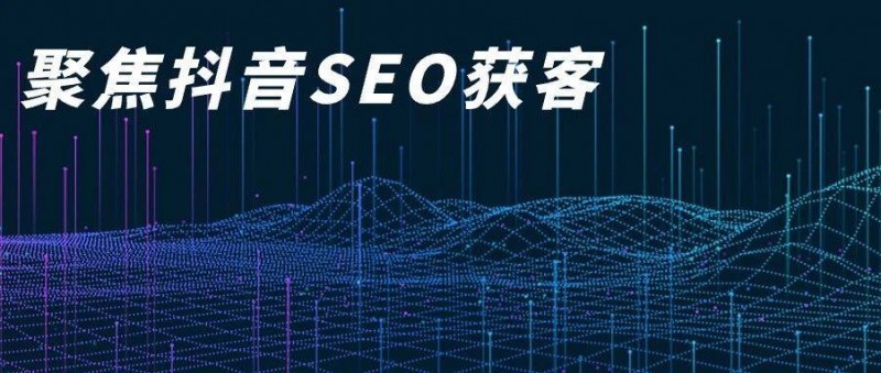 权重的游戏——B2B抖音，SEO为王