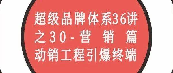 营销篇-动销工程引爆终端