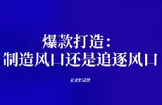 爆款打造 制造风口还是追逐风口