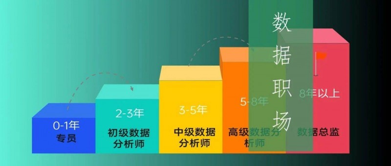 业务型 VS 技术型数据分析师，哪个更有前途？