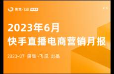 6月快手电商报告 五菱掌握营销密码，中国黄金再迎新增长