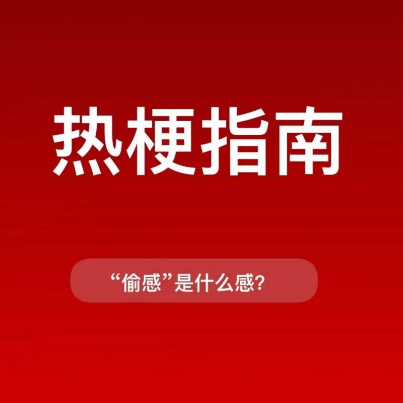 热梗指南，「偷感」是什么感？