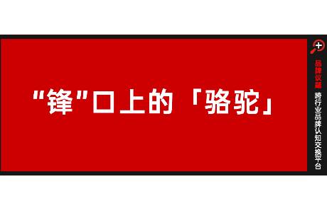 从硬核户外到氛围感穿搭，骆驼改写「冲锋衣」