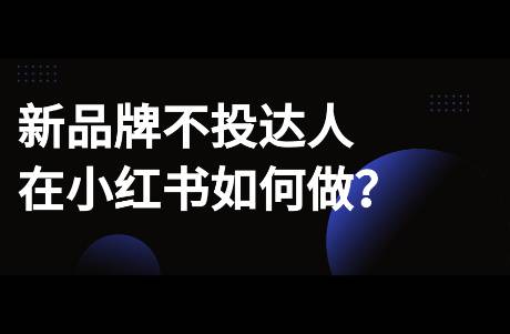 不投达人，品牌在小红书如何做冷启动？