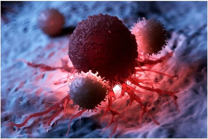 癌症治疗新突破 研究员发现新型T细胞，可增强T细胞癌症疗法