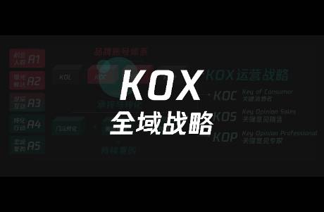 从10个KOS与KOC高频运营实战问题，反思打法对错