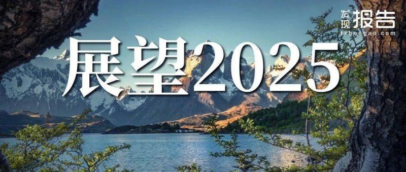 从特朗普入主白宫展望2025经济趋势