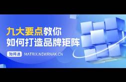 万字长文详解 从0到1打造品牌矩阵