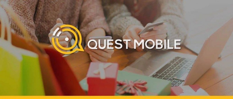 QuestMobile 2024年双十一洞察报告