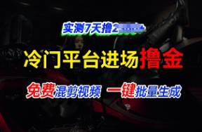 全新冷门平台视频，快速免费进场搞米，通过混剪视频一键批量