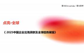 《2025中国企业出海洞察及全球趋势展望》